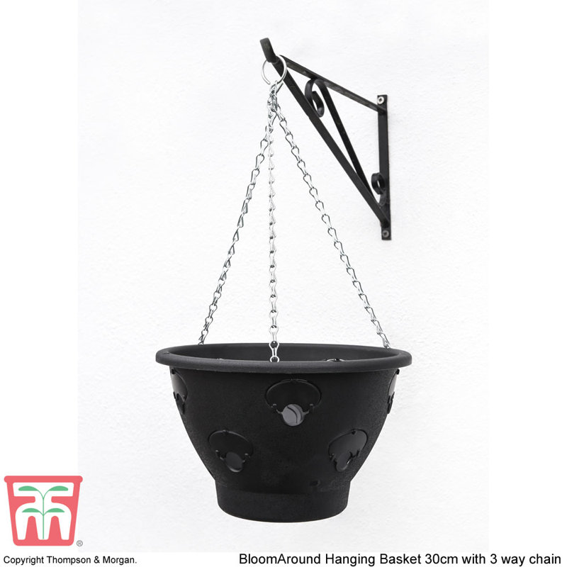 Dunrobin Hanging Basket (x2)