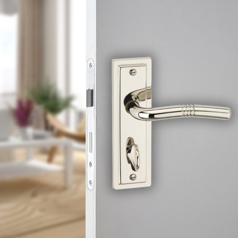 Door Handle, Polished Nickel