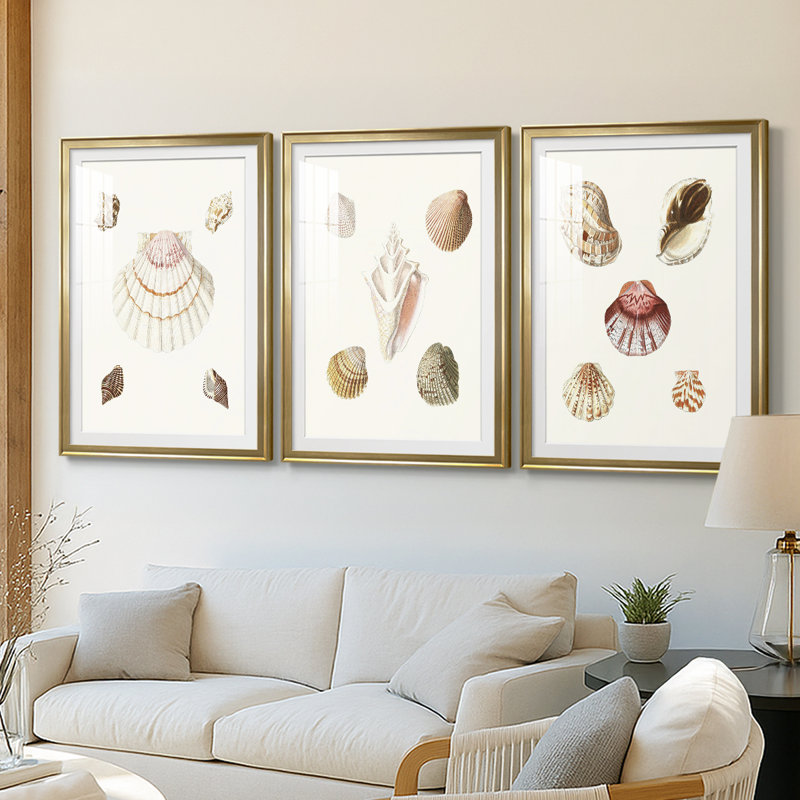 Pastel Knorr Shells IV - impression encadrée sur mesure de qualité supérieure - 3 pièces, H 21 po x l 30 po, Doré