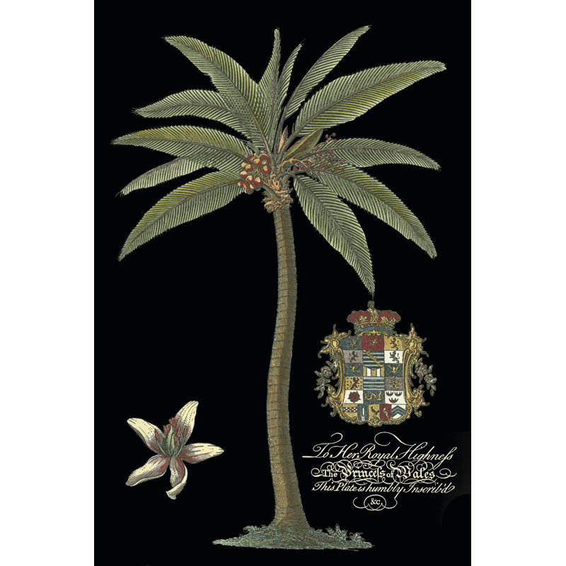 Palm On Black I - Wrapped Canvas Print, 122cm H x 81cm W x 3.8cm D