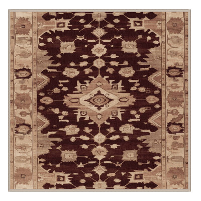 Machine Washable Overdyed Brown Area Rug