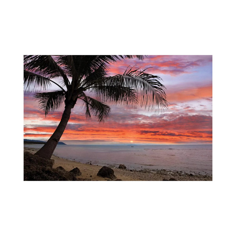 Coconut Palm At Sunset Near Dimiao, Bohol Island, Philippines by Tim Fitzharris - Wrapped Canvas Print