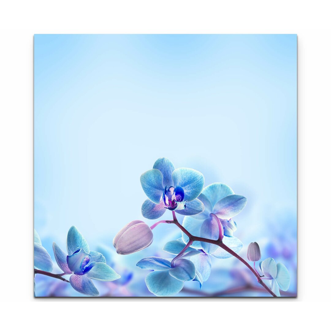 Leinwandbild Nahaufnahme einer Blaue Orchidee