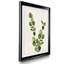 Botanical Wash III - Impression de cadre photo sur papier-1989108938-1989108930