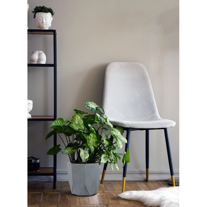 Dennette Pot Planter
