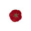 Tomato Earthenware Dinner Plate
