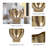 Erso Gold Abyss Arrow Shaped Metal Vase-1409942541