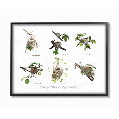 « oiseau nest identifier "illustrations botanique"  », impression
