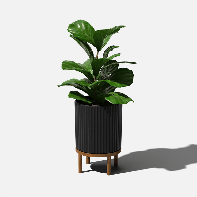 Demi 12" Black Fluted Planter with Acacia Wood Stand
