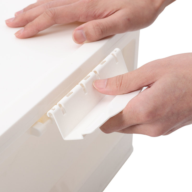 Rebrilliant Plastic Storage Tub & Tote, 56L