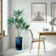 66 plantes-97700206