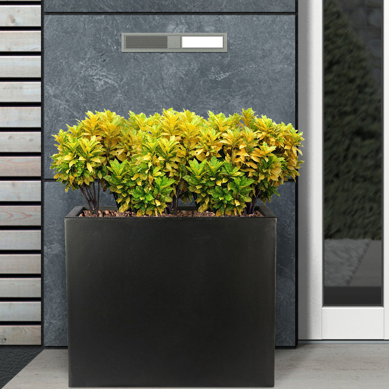 Frostproof, Concrete Effect Garden Planter Pot with Drainage Holes, Black, 50.5cm H x 60cm W x 30cm D