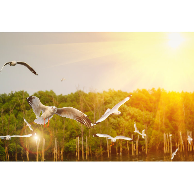 Turnhouse Flying Seagull In The Sky by Iphotothailand - Wrapped Canvas Print, 30cm H x 46cm W x 3.8cm D