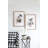 S/2 Bird Framed Print