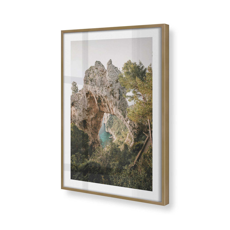 Nature's Archway Print, Brushed Gold Single Picture Framed, 21.25" H x 17.25" W x 1.25" D