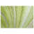 Aloe sélectionné