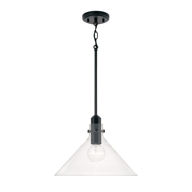 1 - Light Single Pendant, Matte Black