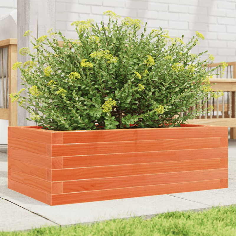 Amiela Planter Box, Wax Brown, 23cm H x 70cm W x 40cm D