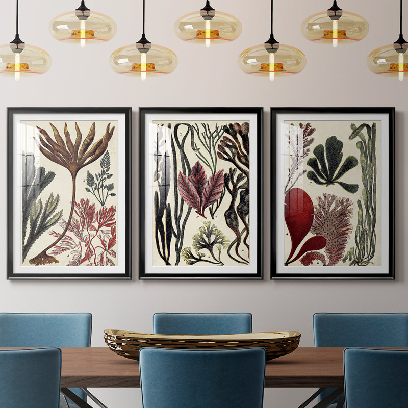 Coral & Seaweed Montage I - Impression sur mesure encadrée de qualité supérieure - 3 pièces, H 15 po x l 19 po, Noir