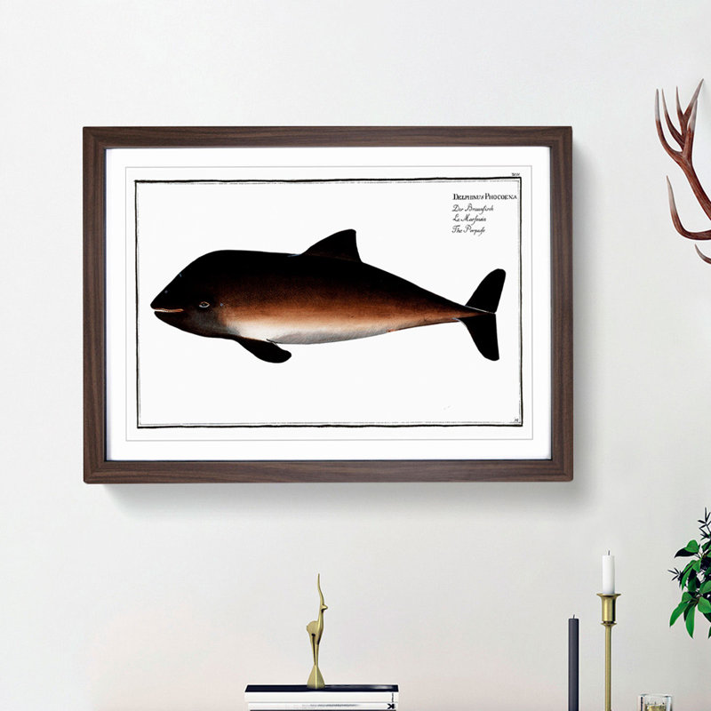 Porpoise by M.E. Bloch - Framed Print, 36cm H x 48cm W x 2cm D, Walnut Framed
