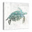 Tortue de mer turquoise - reproduction sur toile-24799601-24799605