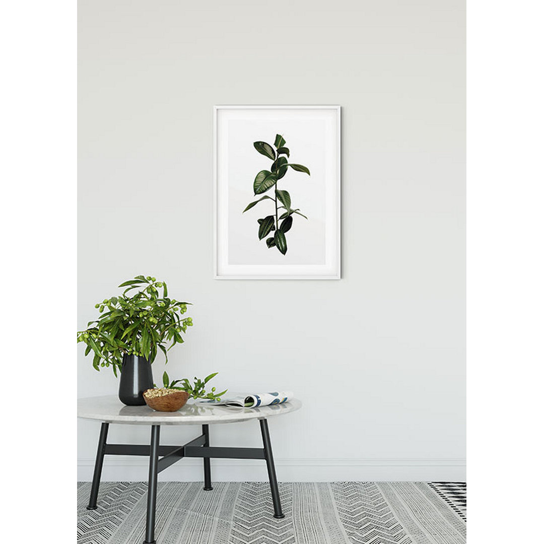 Papierbild Ficus Zweig