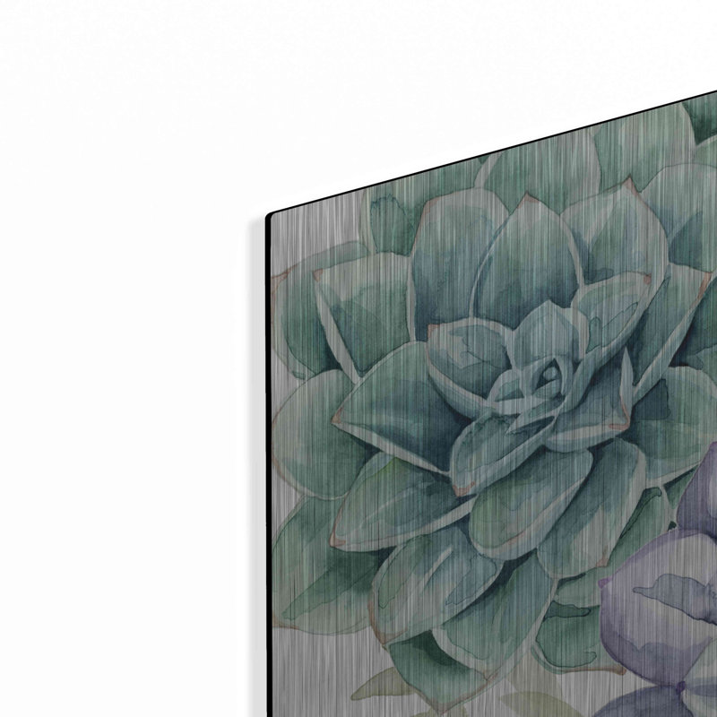 «Succulent Collection B» par Grace Popp, H 48 po x l 24 po