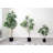 Faux Tree in Plastic Pot-331814849