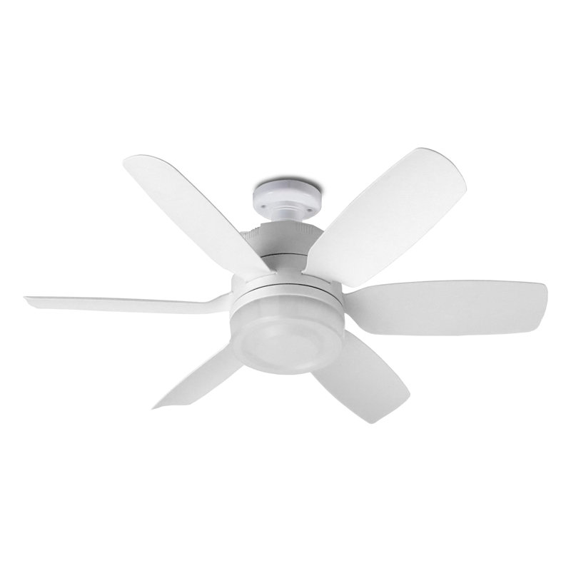 Fans Lights With Remote, 6 Speed 3 Color Fan Lights In Summer With Extender
