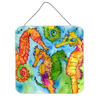 " Seahorse "