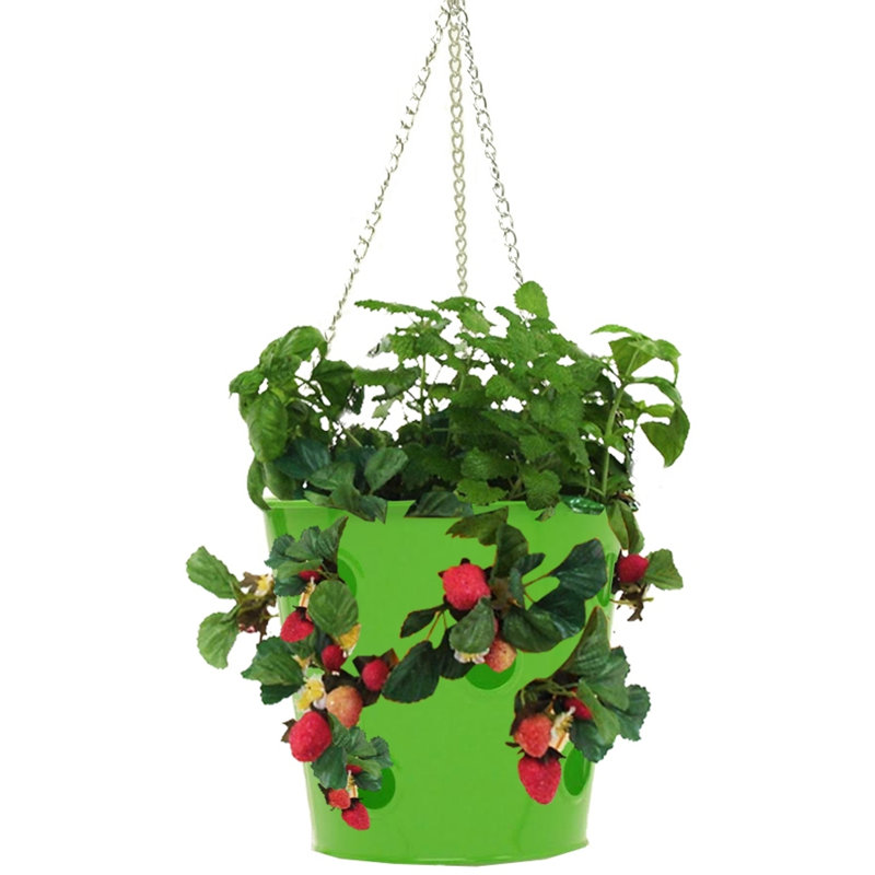 Pot de fleurs suspendu en acier Alasdair, Vert pomme