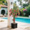 Arbre topiaire artificiel à fleurs Bougainvillea 47 po avec pot pour la décoration intérieure / extérieure