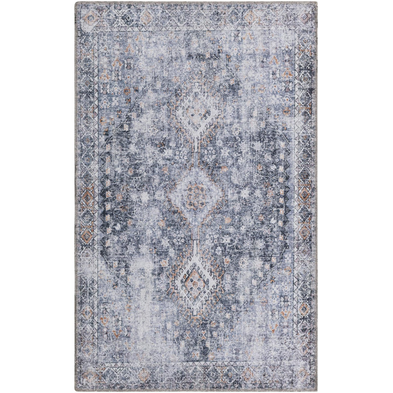 Akash Thorine Rug, Gray, Rectangle 3'3" x 5'3"