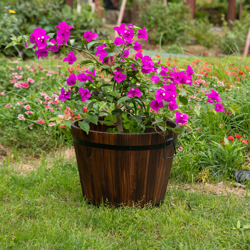 Pot à fleurs Keeney Whiskey