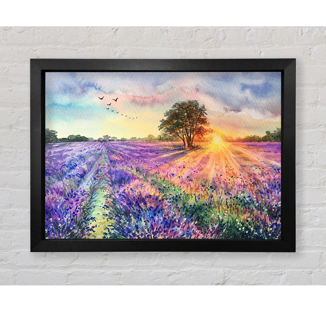 Gerahmtes Leinwandbild Lilac Fields Sunset