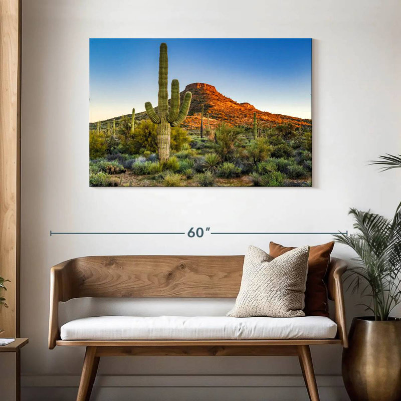 Désert de Sonoran, H 30 po x l 45 po