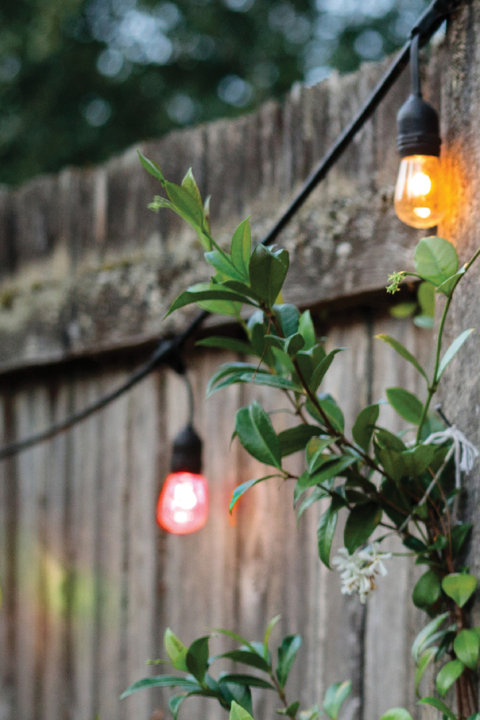 Light Bulbs
