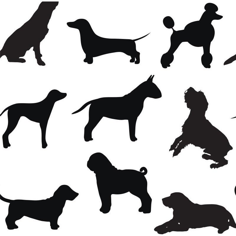 Dog Days Abstract Wallpaper Roll by Jamie Graney, Vinyl