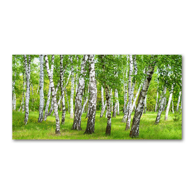 Birch Forest - Print