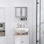 W H Medicine Cabinet Mirror