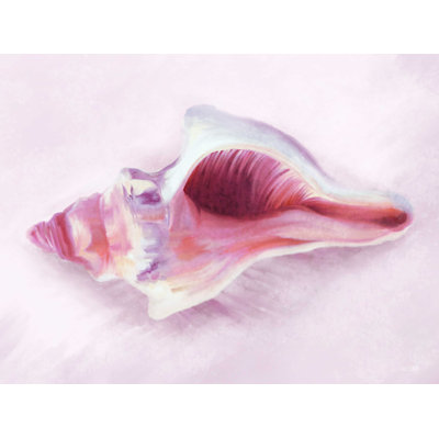 Conch Shell Blush II - impression sur toile tendue