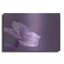 «Purple Dew» par Lori Deiter-1005802911