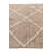 Oavia Brown Rug