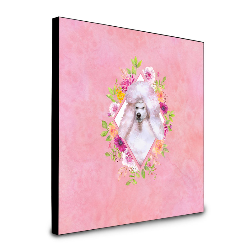 Panneau mural Dollman Flowers, Rose, Caniche à poil long rose