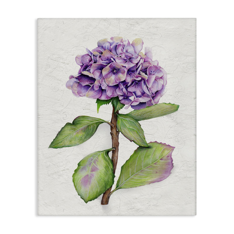 Art européen sur toile Hortensia de style européen par Levison Design, H 30 po x l 24 po