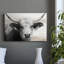 Animaux, paysage, série CL XXXV-750553728