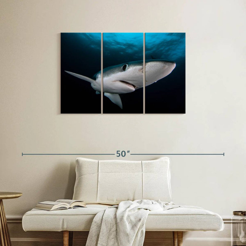 Requin bleu sous-marin Brampt, H 24 po x l 38 po