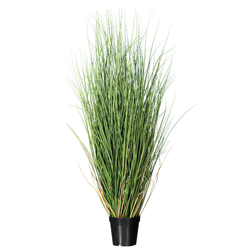 Kellan PVC Artificial Potted Green Curled Grass, 36" H x 18" W x 18" D