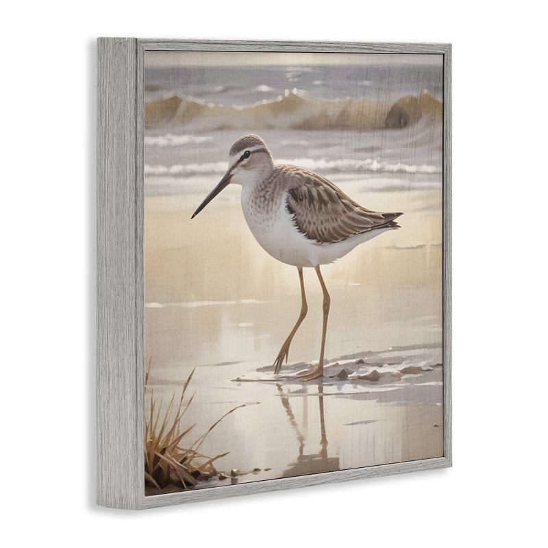 «Wading Beach Sandpiper», estampe numérique, design par Susan Arnot, Estampe numérique Farmhouse, H 17 po x l 17 po