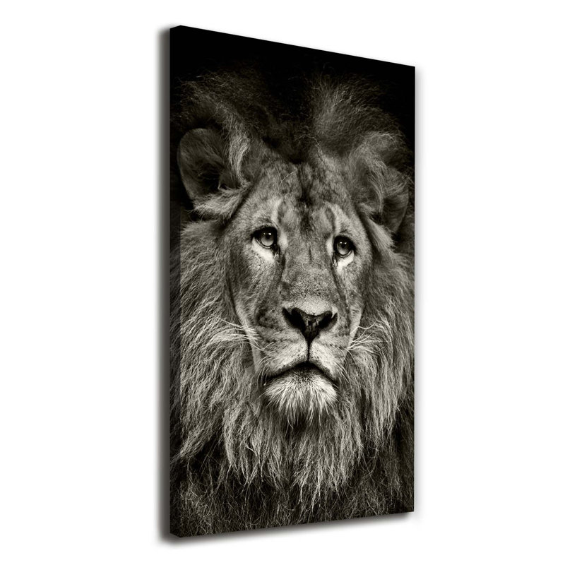 Lion - Wrapped Canvas Print